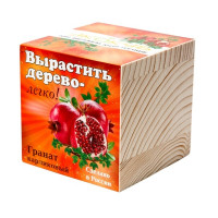 Эко куб "Гранат карликовый"