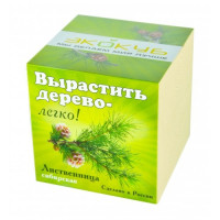 Эко куб "Лиственница сибирская"