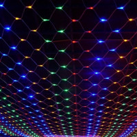 Светодиодная LED гирлянда Сетка 2*2 м
